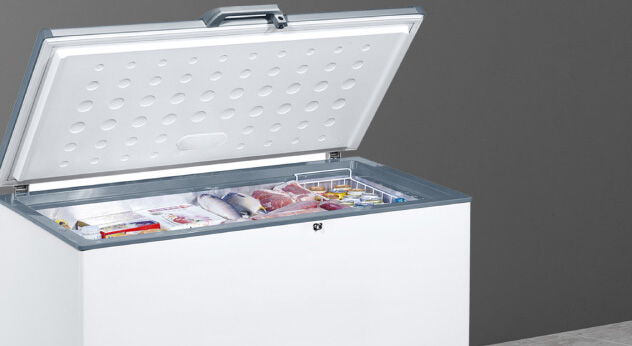 chest freezer price in uae